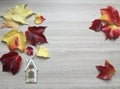 A decorative composition, top view mockup with red autumn boston ivy leaves, a little house Christmas decoration on the wooden