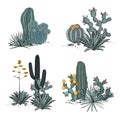 Decorative compositions composed of groups of cacti, blooming prickly pear, agaves, and yucca. Vector set illustration Royalty Free Stock Photo