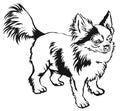 Decorative Standing Portrait Of Dog Long-haired Chihuahua Vector