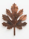Decorative copper maple leaf wall art Royalty Free Stock Photo