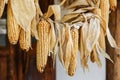 Decorative corn in hanging in a traditional peasant house
