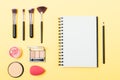 Decorative cosmetics and tools Royalty Free Stock Photo
