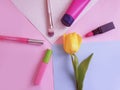 Decorative cosmetics, tulip flower glamor   concept  collection colorful on a colored background Royalty Free Stock Photo