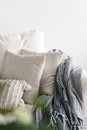 Decorative cushions in white pillowcases at sofa