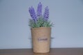 Decorative cute flower pot with lavender for home interior indoor decoration, placed at the shelve