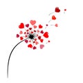 Decorative dandelion in the hearts scattered in the wind. Valentine`s day concept.