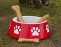 Decorative dog bowl with bones Royalty Free Stock Photo