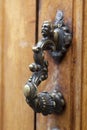 Decorative Door Knocker Royalty Free Stock Photo