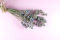 Decorative dry lavender bouquet on pink background. Close up Royalty Free Stock Photo