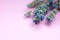 Decorative dry lavender bouquet on pink background. Close up Royalty Free Stock Photo