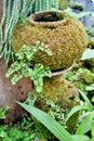 Decorative earthen jar with green moss patterns in garden. Royalty Free Stock Photo