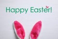 Decorative Easter bunny ears on background, flat lay Royalty Free Stock Photo