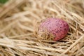 Decorative Easter egg in straw Royalty Free Stock Photo