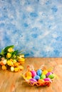 Decorative Easter Eggs in a nest with flowers and a place for text on a blue background Royalty Free Stock Photo