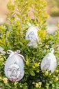 Decorative Easter eggs placed in boxwood branches