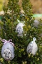 Decorative Easter eggs placed in boxwood branches Royalty Free Stock Photo