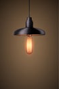 Decorative edison light bulb with chandelier