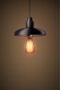 Decorative edison light bulb with chandelier
