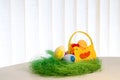 Decorative eggs on green grass. Chicken basket. Concepts Easter, eggs, hand made Royalty Free Stock Photo