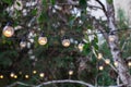 Decorative electric festoon of lighting bulbs hanging on tree br