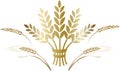 Decorative element gold ripe wheat ears composition.