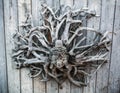 Decorative element head of Buddha on dried roots of trees