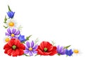 Decorative element with summer flowers.