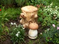 Edelweiss bush and other plants against the background of a stump and a mushroom figure.