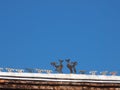 Decorative elements with meaningful buddhism ornaments in WAT XIENG THONG