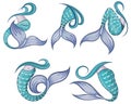 Mermaid tails vector graphic illustration