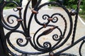 Decorative elements of wrought iron fencing in dark colors