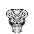 Decorative Elephant Illustration. Indian style elephant front view with stylized ornament