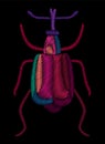 Decorative embroidery beetle weevil. Royalty Free Stock Photo