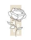 Decorative English Garden Vintage Rose With Text. Female Summer Print, T-shirt Design. Line Art. Hand Drawn Beautiful Flower.