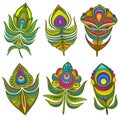 Decorative ethnic peacock feathers vector set isolated Royalty Free Stock Photo