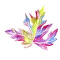 Decorative exquisite lilac, green, blue maple leafs on a white background