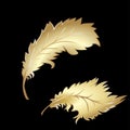 Decorative Feather