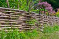 Decorative fence made of wicker branches protects flowers Royalty Free Stock Photo