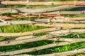 Decorative fencing from thin branches.