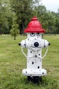 Decorative Fire Hydrant Royalty Free Stock Photo