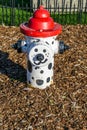 Decorative Fire Hydrant Royalty Free Stock Photo