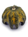 Decorative flavovirent colour a pumpkin Royalty Free Stock Photo