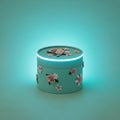 Decorative Floral Box with Light Royalty Free Stock Photo