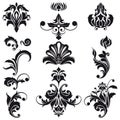 Decorative Floral Design Elements