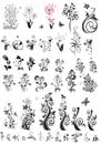 Decorative floral design elements (black and white) Royalty Free Stock Photo