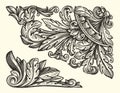 Decorative floral design elements. Ornate swirling floral motif. Pattern vector illustration in vintage engraving style Royalty Free Stock Photo