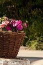 Decorative flower baslet in garden