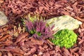 Decorative flower bed mulched with larch tree bark Royalty Free Stock Photo