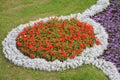 Decorative flower bed in an urban environment. Royalty Free Stock Photo