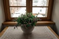 Decorative flower or bouquet on a window pane in the winter Royalty Free Stock Photo